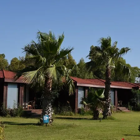 The Park 5*